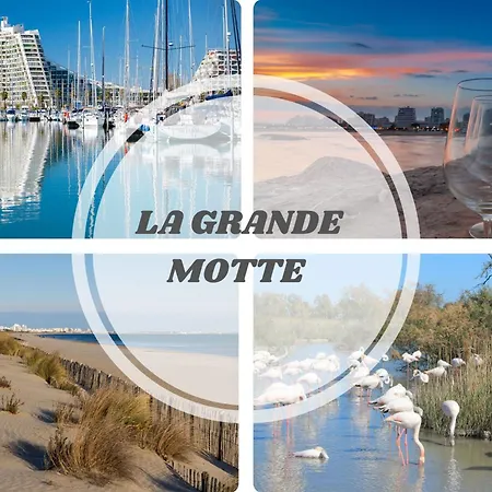 Le Pacifica - Neuf Parking Wifi Clim 2min - Le Pacific - Topprosconciergerie Motte Апартаменты