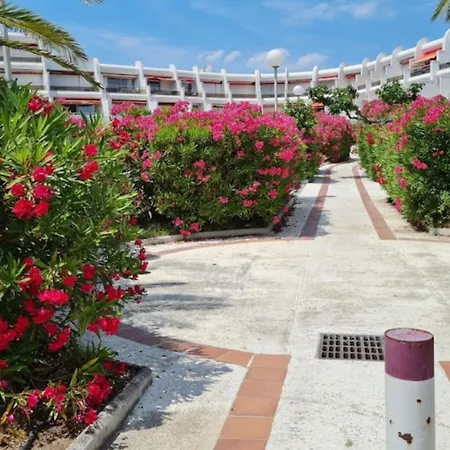 Apartment Le Pacifica: Beachfront With Parking, Wi-fi & Ac
