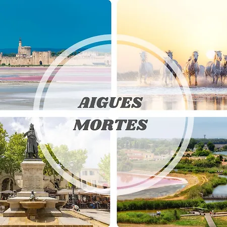 Le Pacifica - Neuf Parking Wifi Clim 2min - Le Pacific - Topprosconciergerie Motte Apartment *